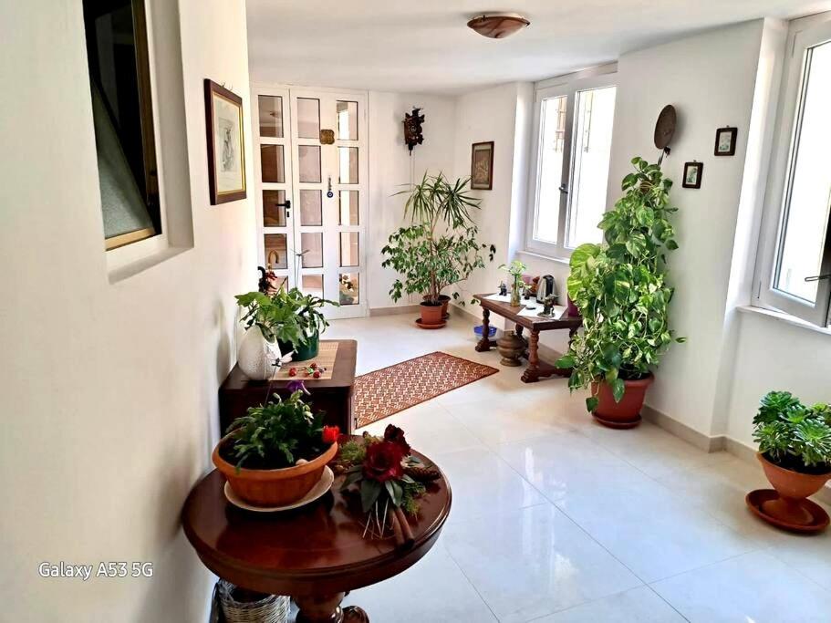 דירות אלגהרו La Casa Di Tina מראה חיצוני תמונה