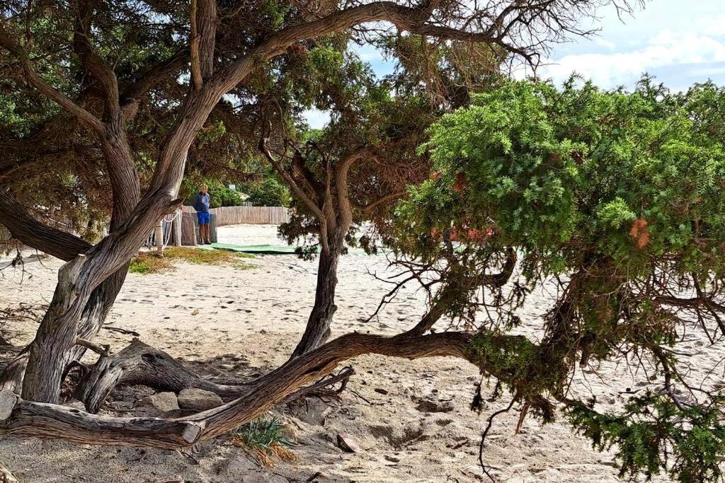 דירות אלגהרו La Casa Di Tina מראה חיצוני תמונה