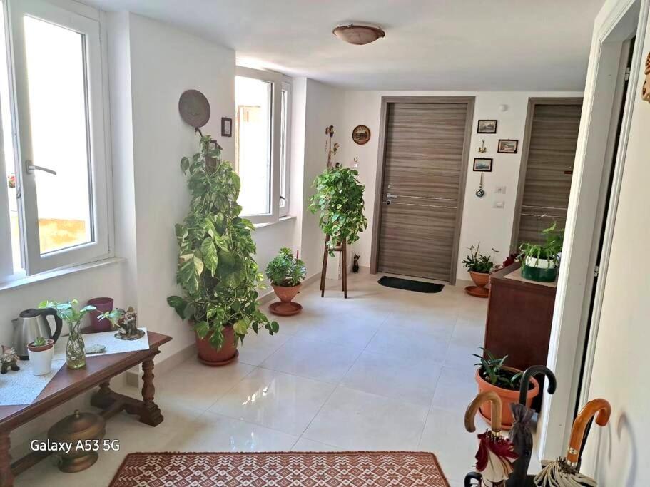 דירות אלגהרו La Casa Di Tina מראה חיצוני תמונה